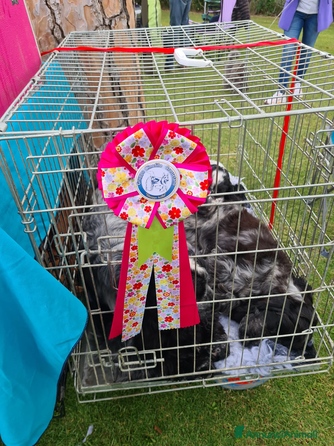 Immagine della galleria {{count}}