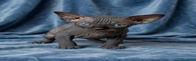 Sphynx 3