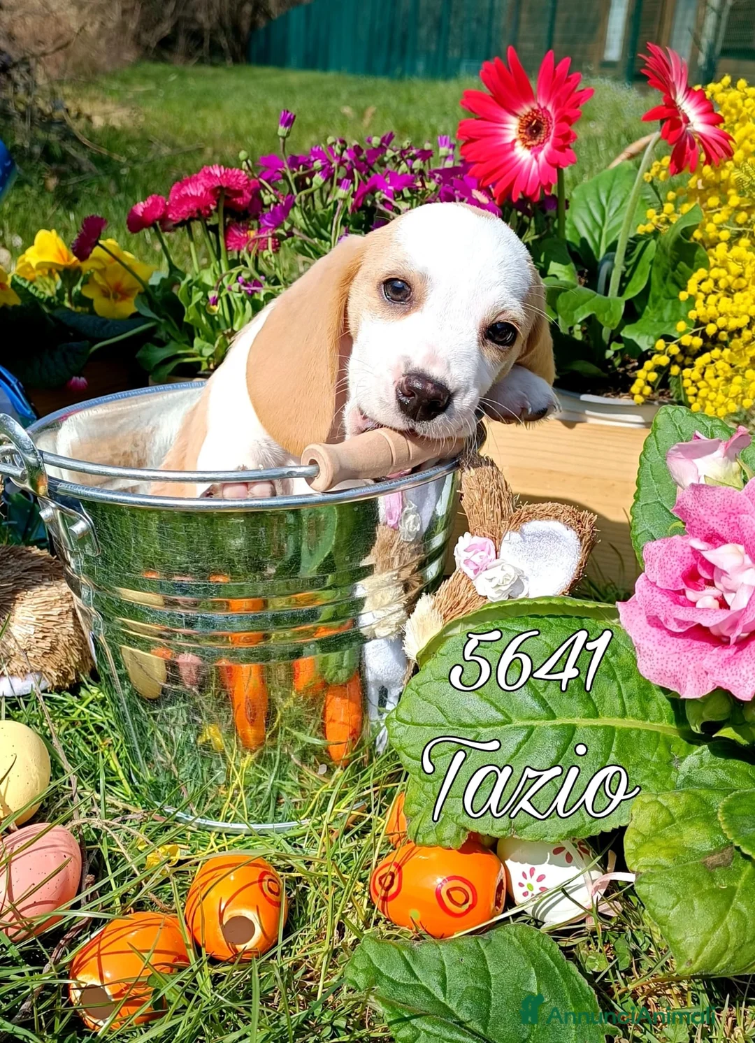 Immagine della galleria {{count}}