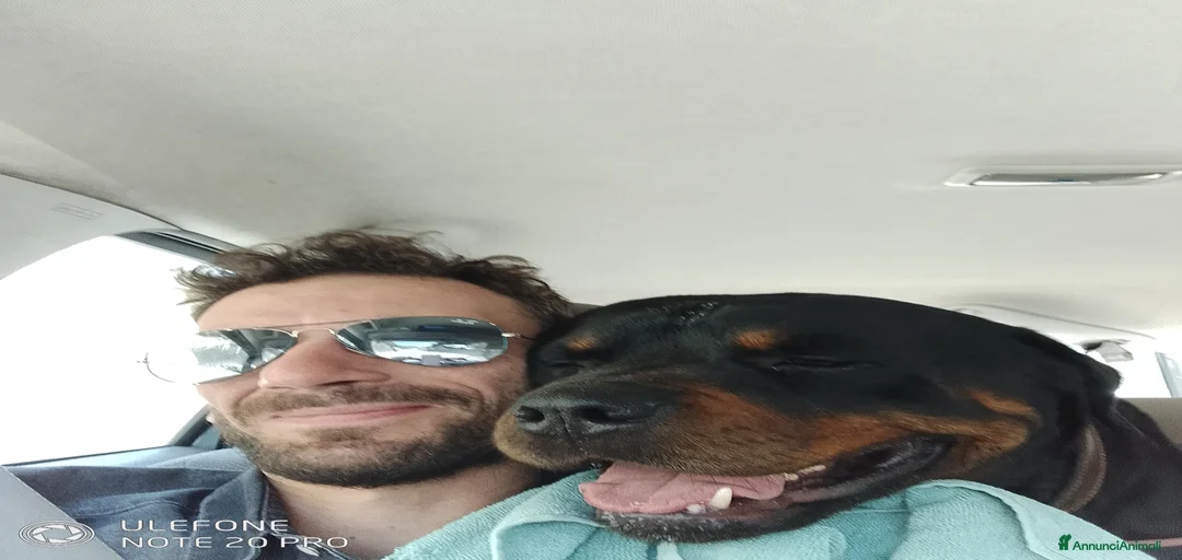 Immagine della galleria {{count}}