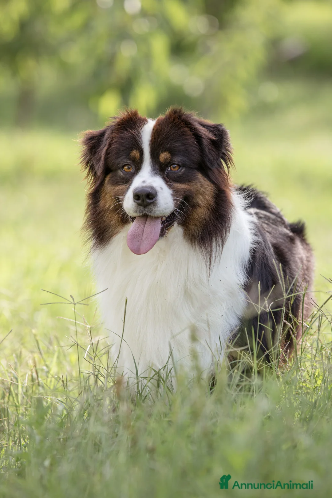 Immagine della galleria {{count}}