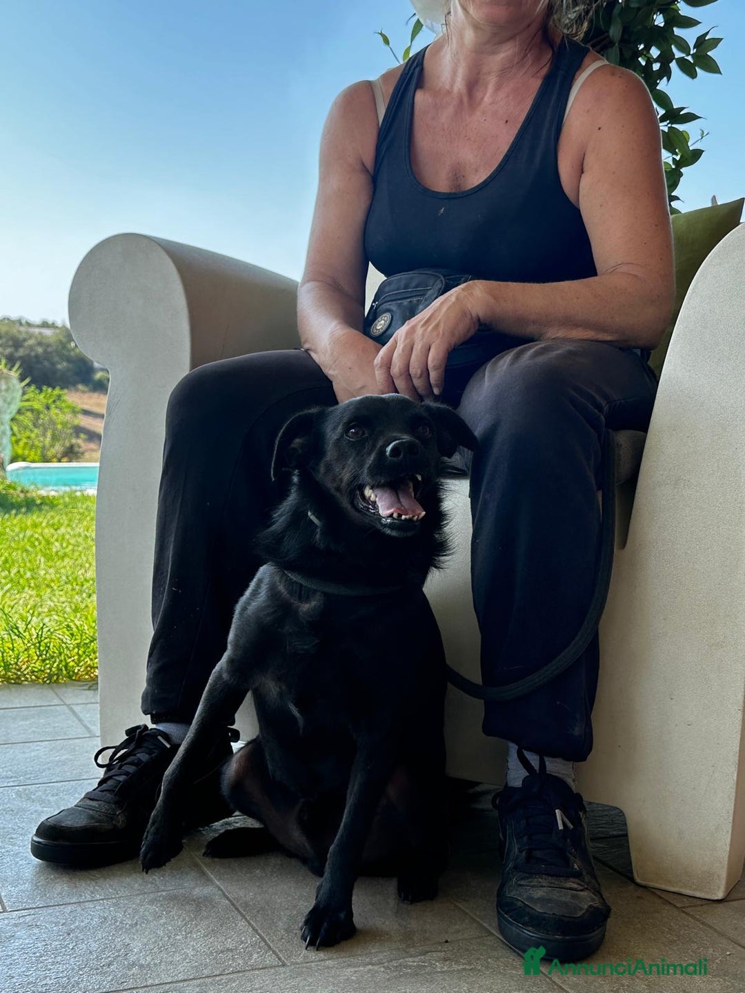 Meticcio cani in regalo: BART un canuccio piccino e tanto sfortunato a Pomezia - Annuncio 6