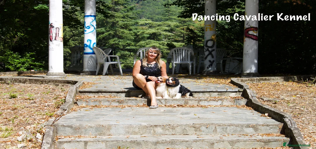 Immagine della galleria {{count}}