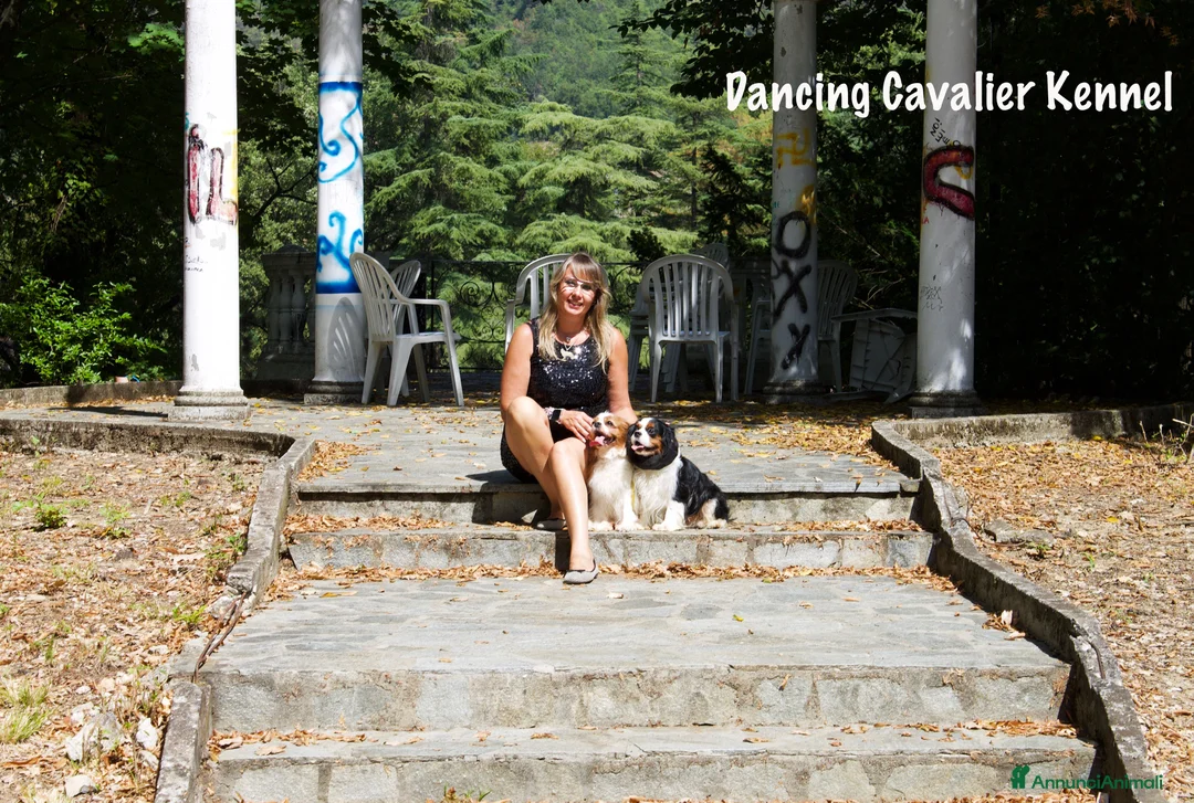 Immagine della galleria {{count}}