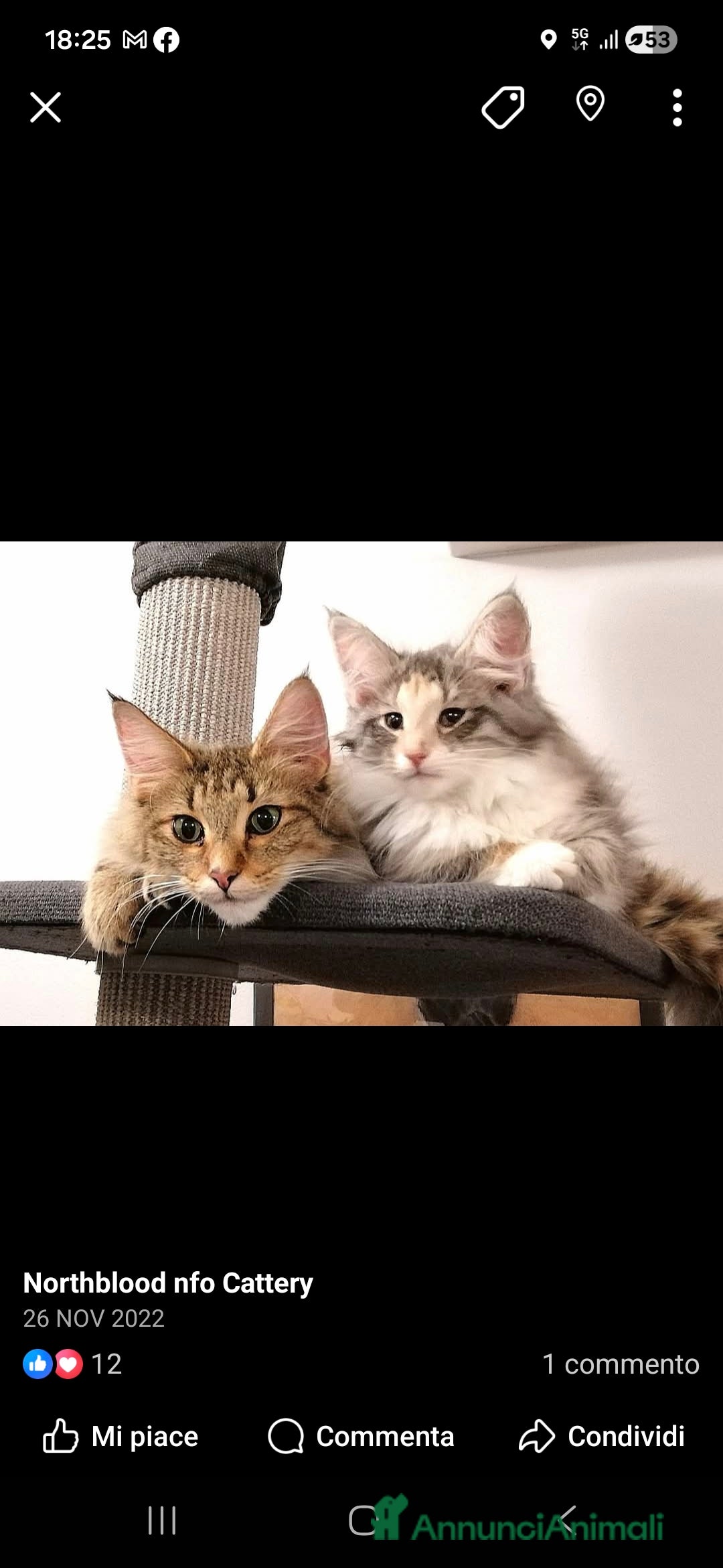 Immagine della galleria {{count}}