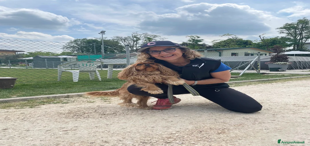 Immagine della galleria {{count}}