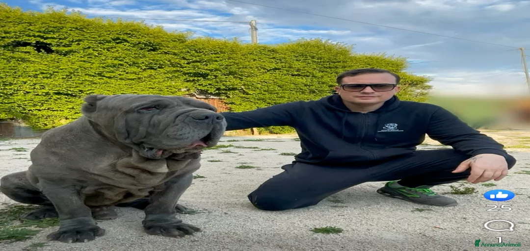 Immagine della galleria {{count}}