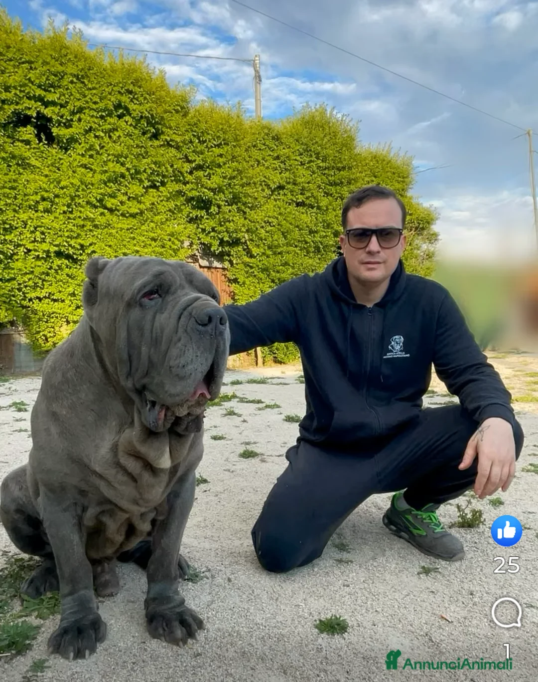 Immagine della galleria {{count}}