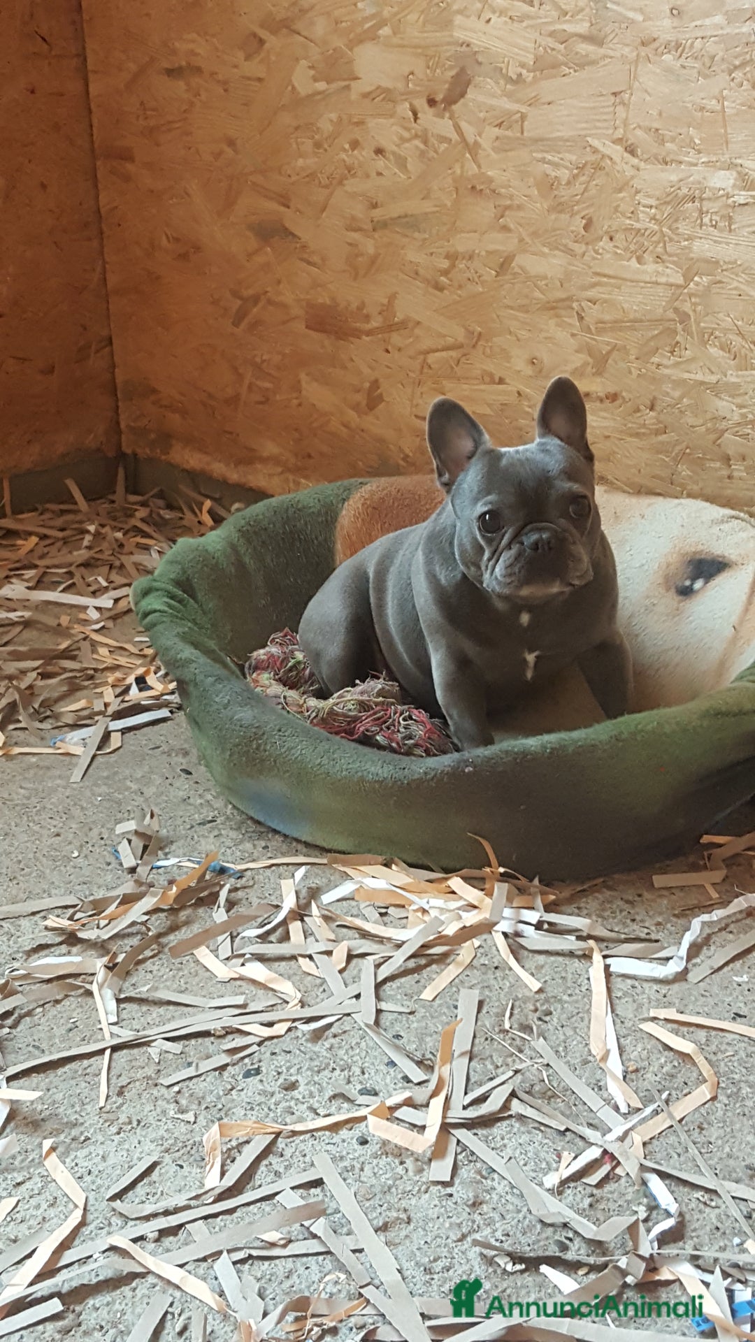 Immagine della galleria {{count}}