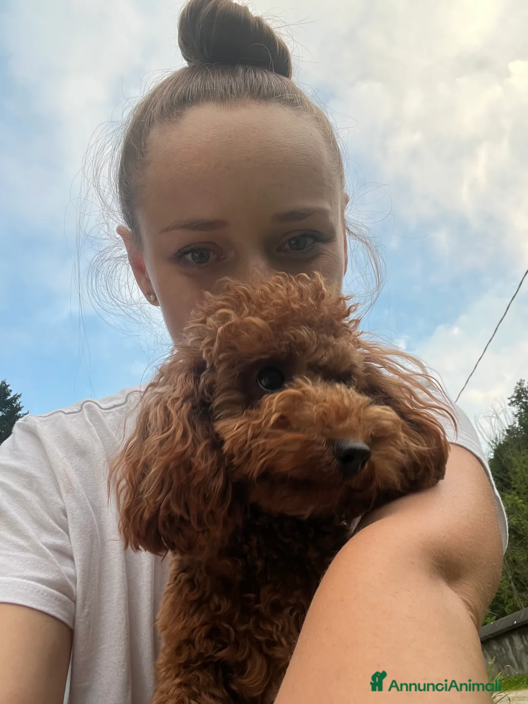 Immagine della galleria {{count}}