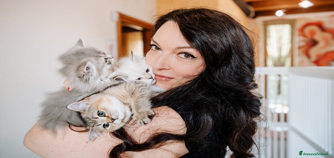 Immagine della galleria {{count}}