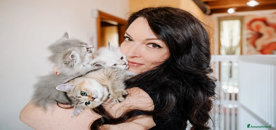 Immagine della galleria {{count}}