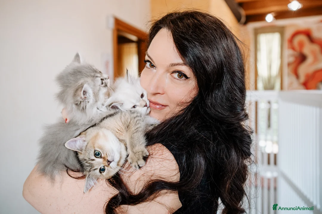 Immagine della galleria {{count}}