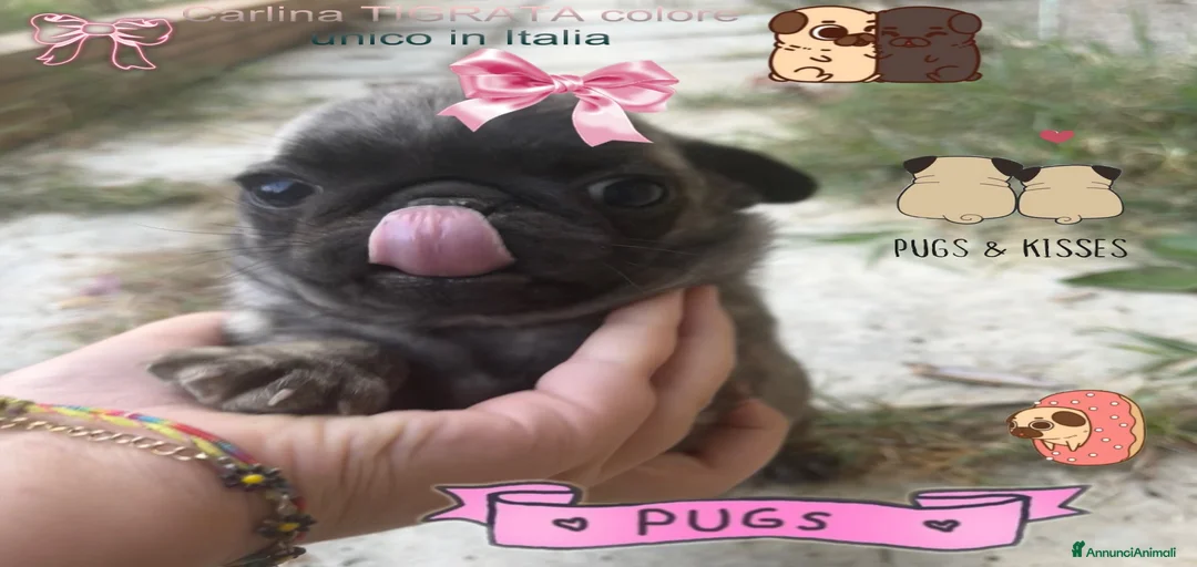 Immagine della galleria {{count}}