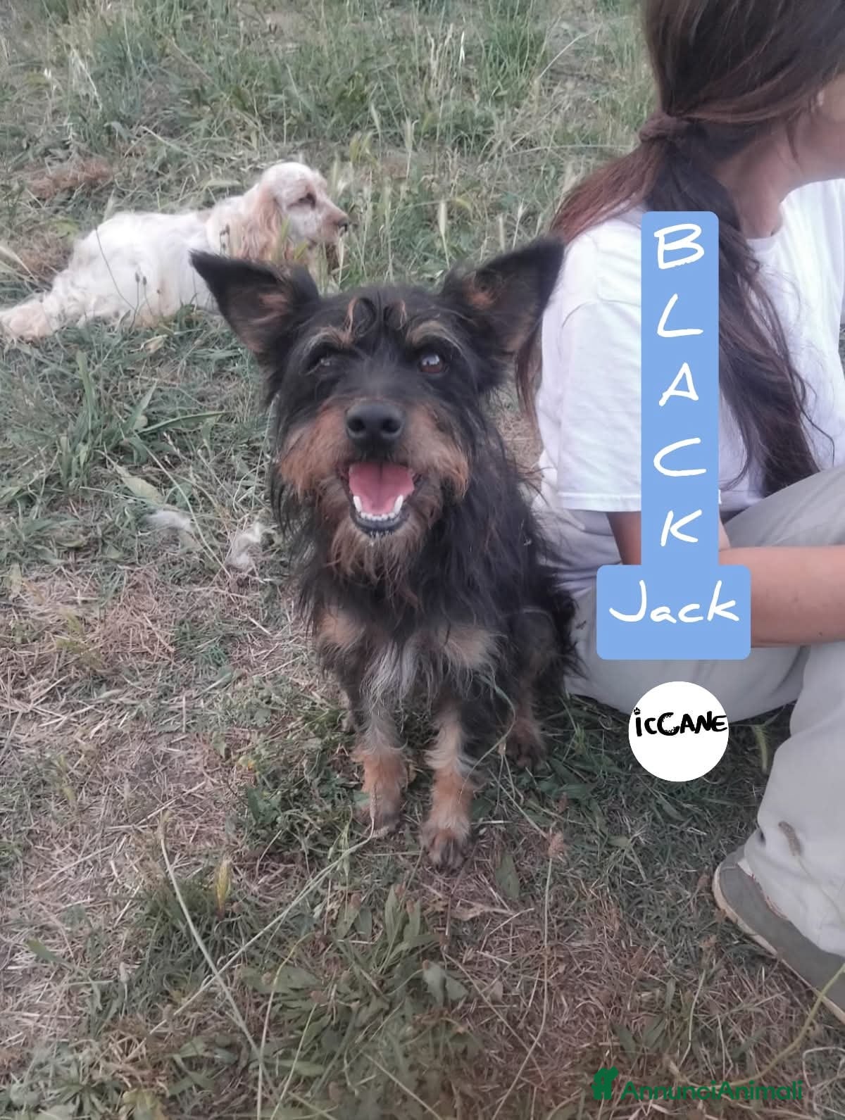 Meticcio cani Black Jack a Provincia di Viterbo - Annuncio 1