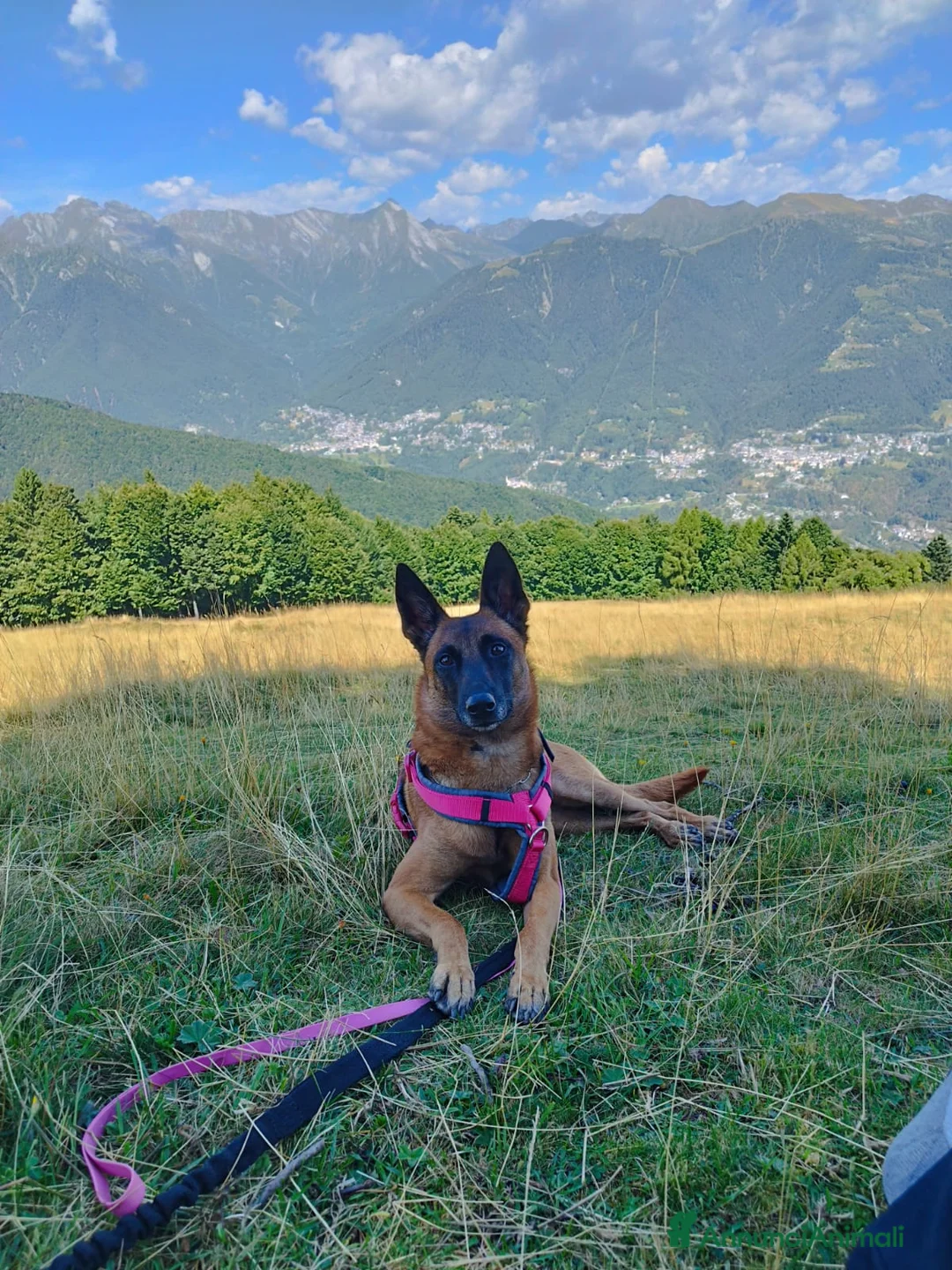 Immagine della galleria {{count}}