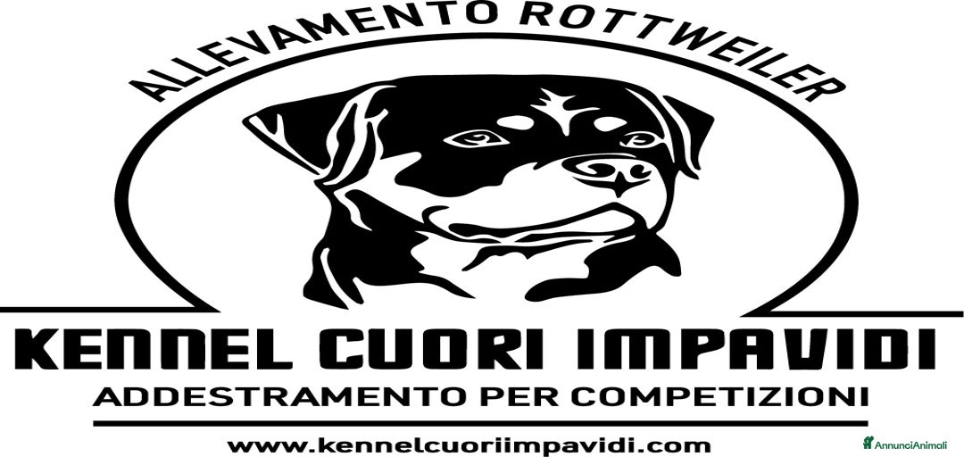 Immagine della galleria {{count}}