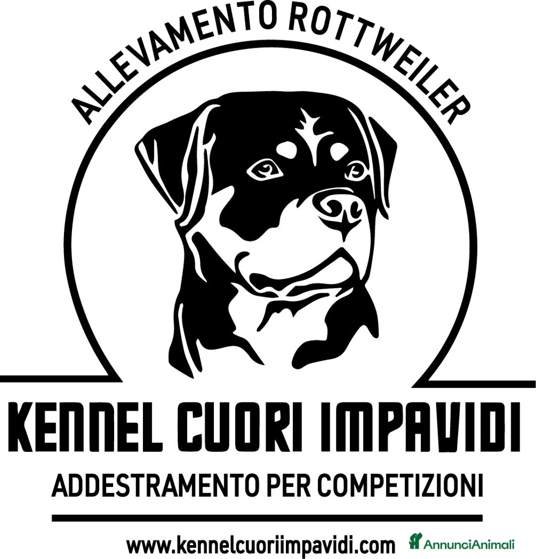 Immagine della galleria {{count}}