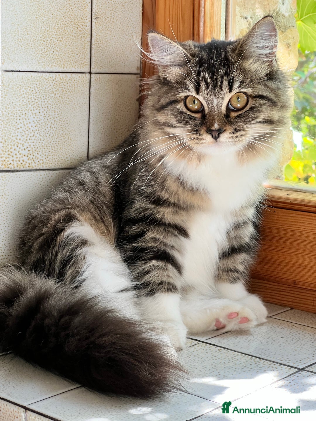 Immagine della galleria {{count}}