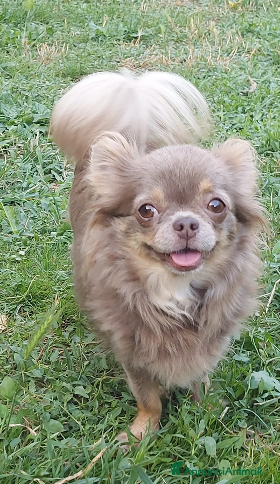 Immagine della galleria {{count}}