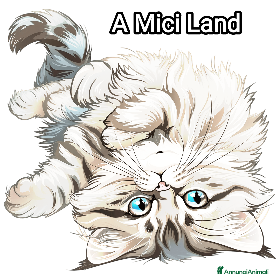 Immagine della galleria {{count}}