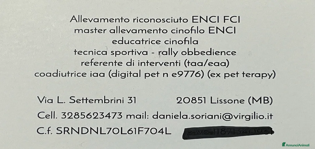 Immagine della galleria {{count}}