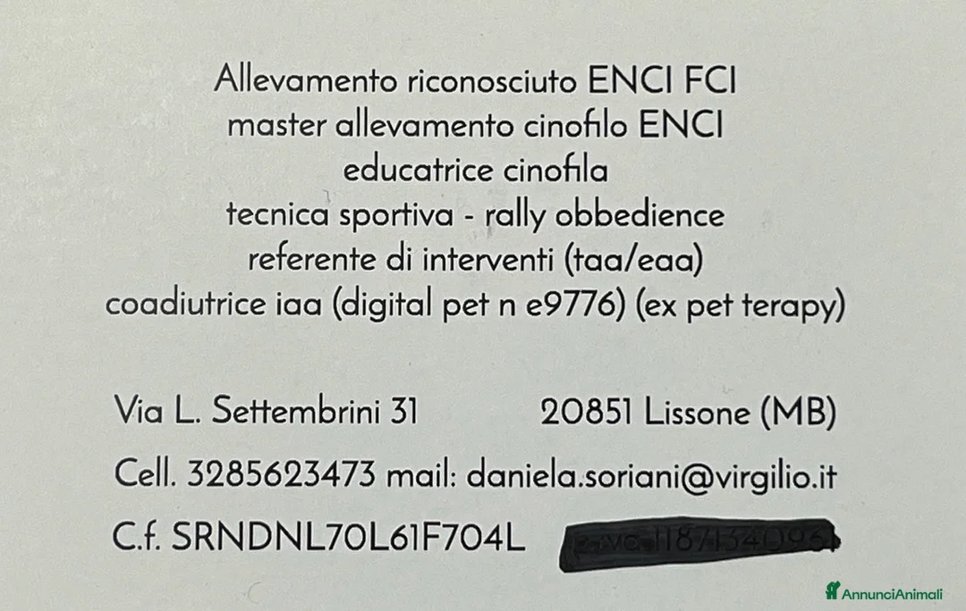 Immagine della galleria {{count}}