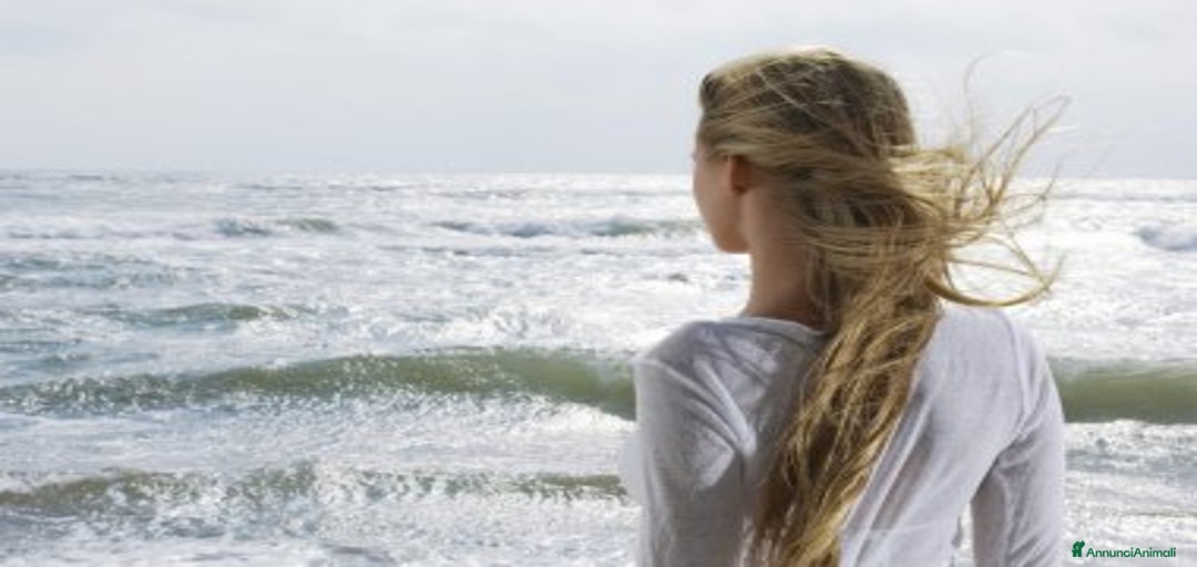 Immagine della galleria {{count}}