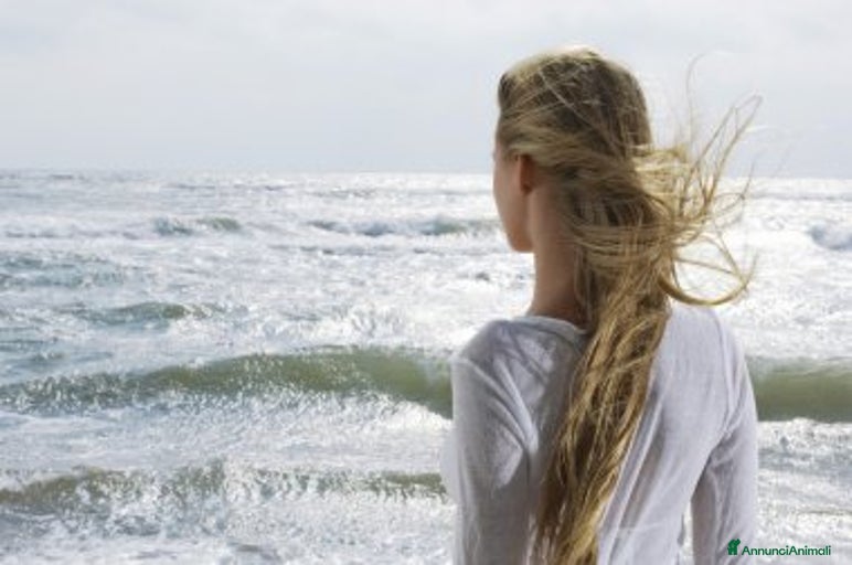 Immagine della galleria {{count}}