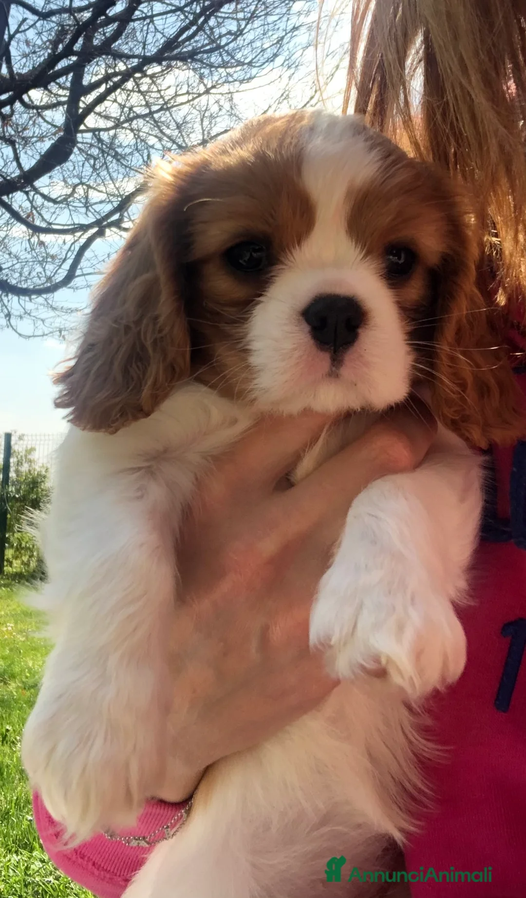 Immagine della galleria {{count}}