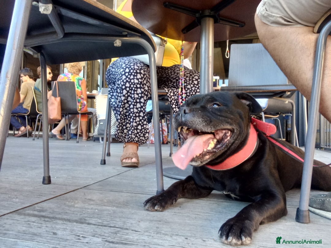 Immagine della galleria {{count}}