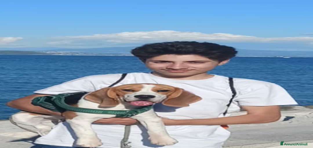 Immagine della galleria {{count}}