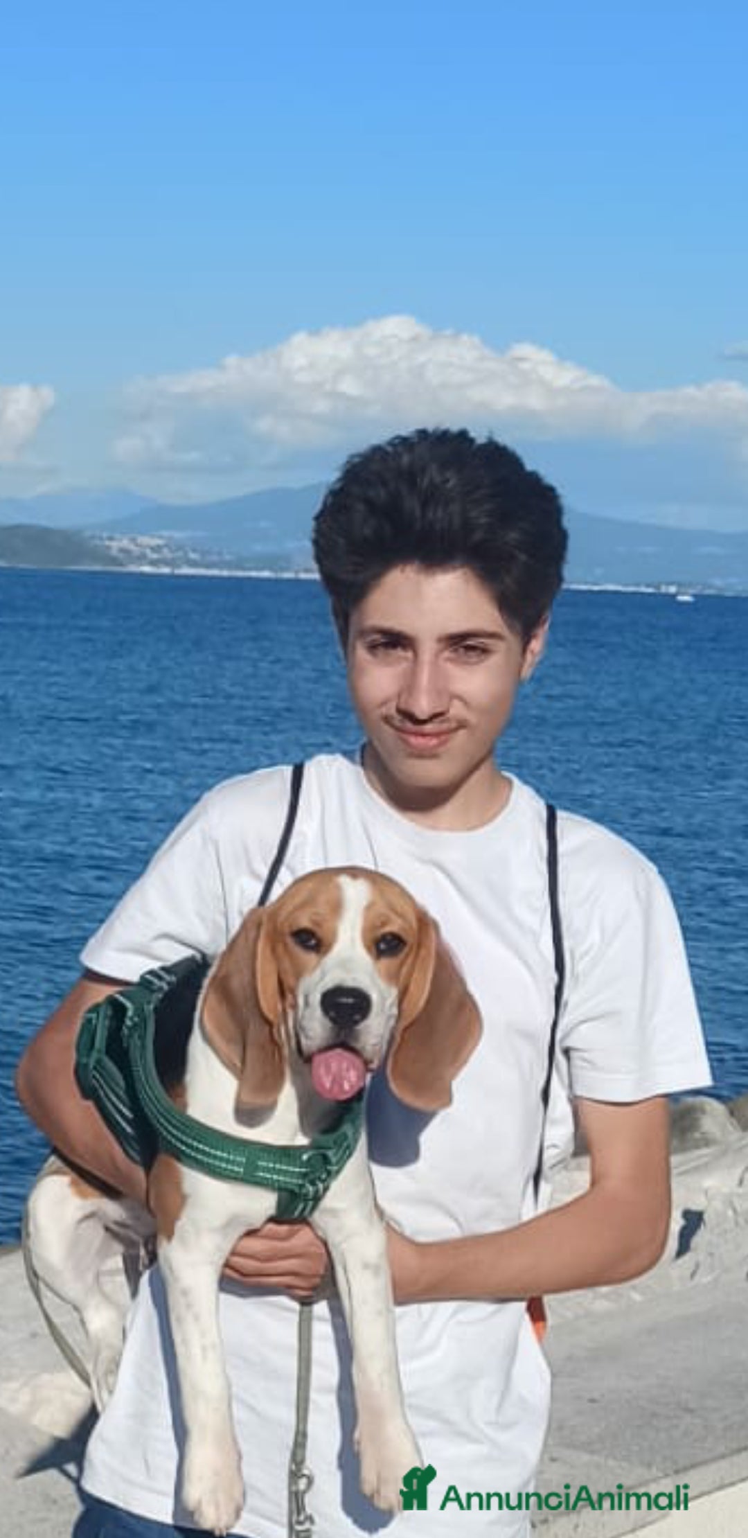 Immagine della galleria {{count}}