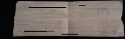 Border Collie cani per accoppiamento: Border Collie maschio con pedigree ENCI per monta a Provincia di Perugia - Annuncio 8