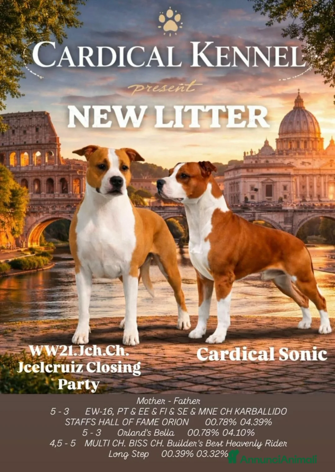 American Staffordshire cani in vendita: Cuccioli American Staffordshire Terrier  a Città metropolitana di Roma Capitale - Annuncio 2