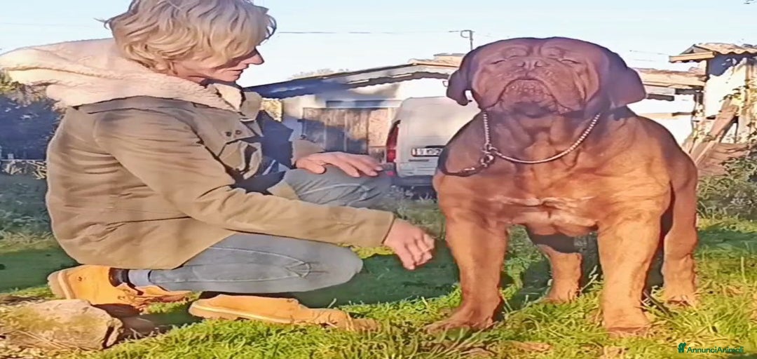 Immagine della galleria {{count}}