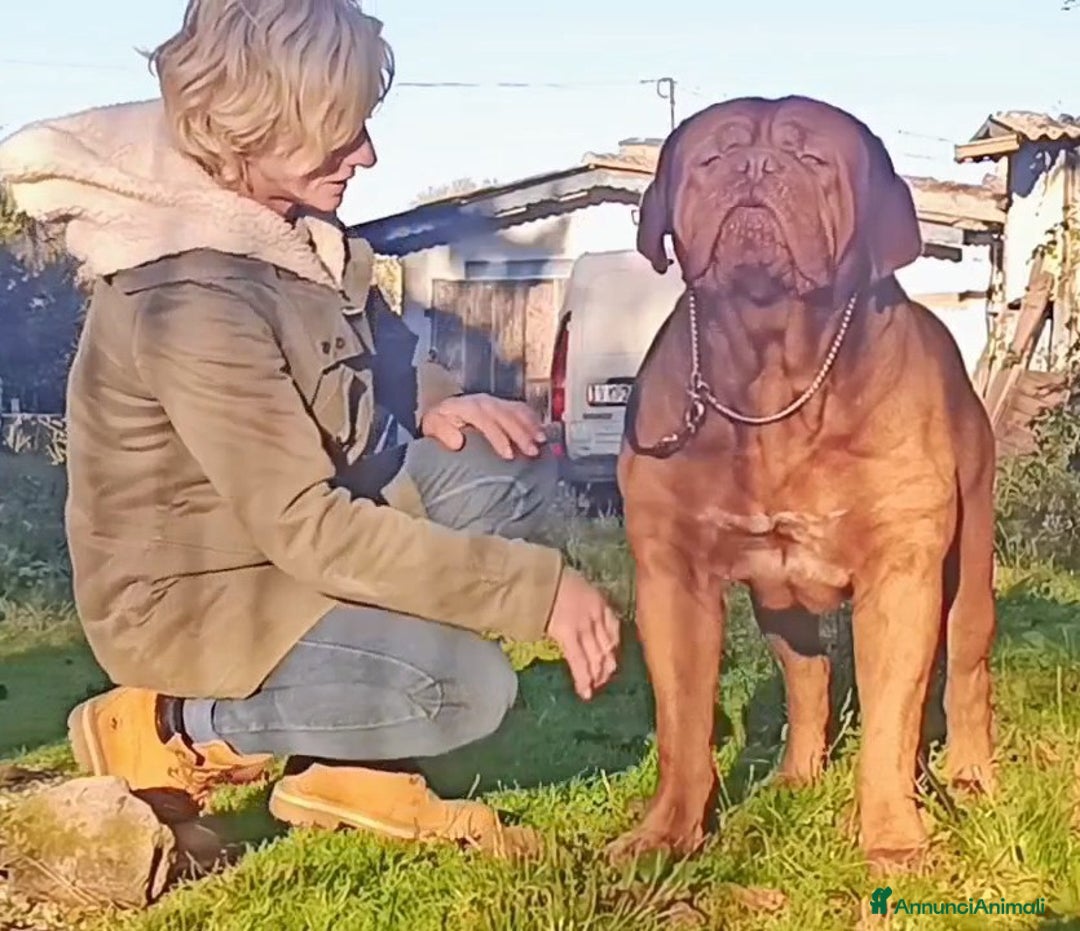 Immagine della galleria {{count}}