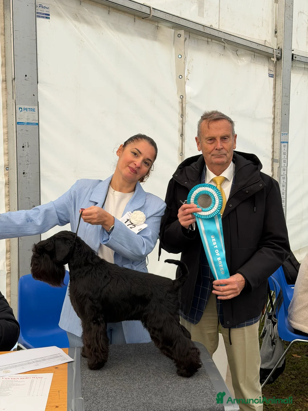 Mini Schnauzer cani in vendita: Schnauzer Nano nero  - Annuncio 5