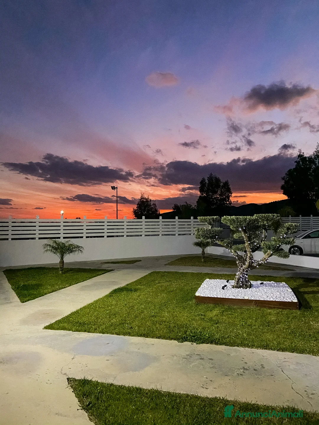 Immagine della galleria {{count}}