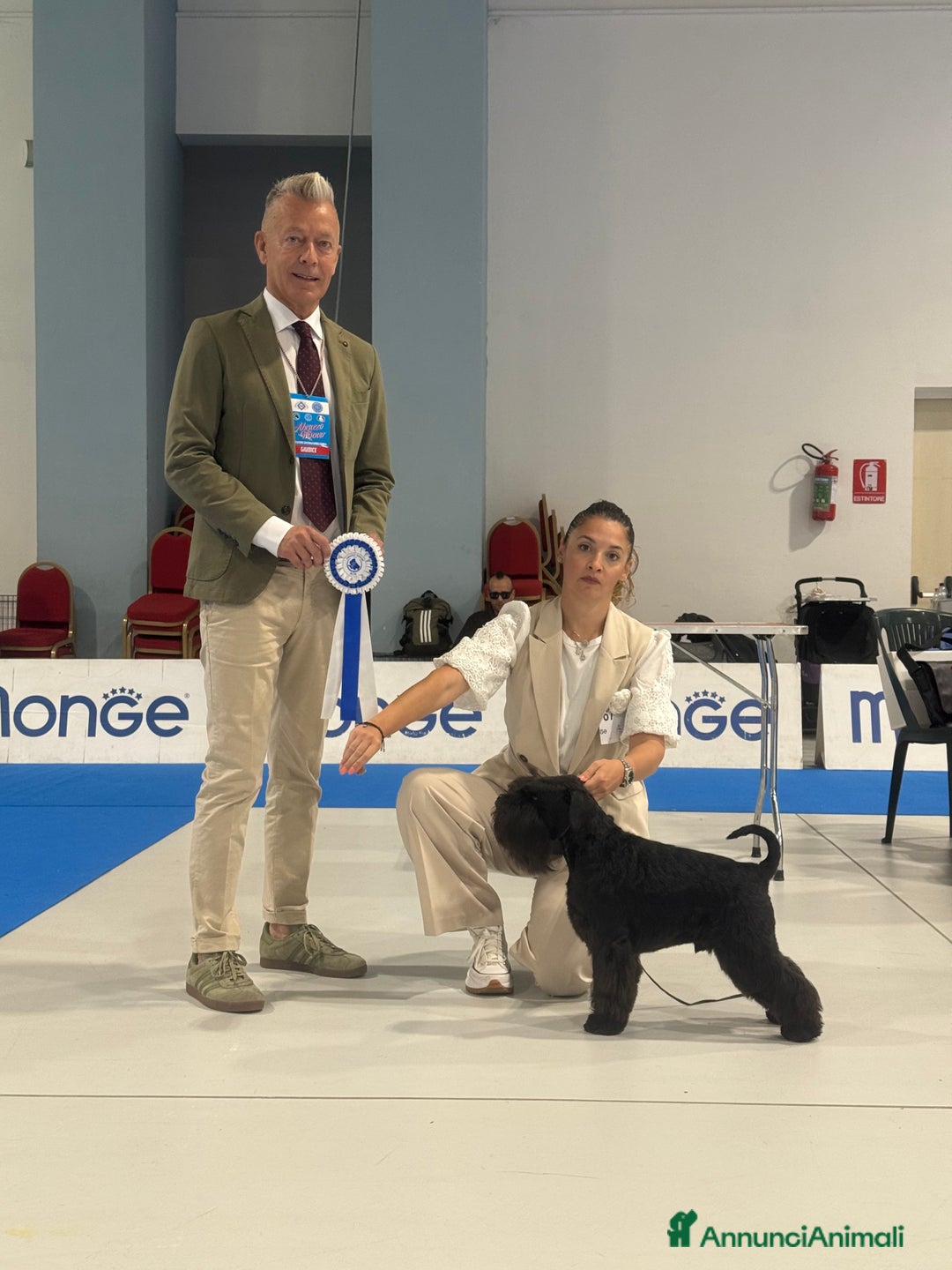 Mini Schnauzer cani in vendita: Schnauzer Nano nero  - Annuncio 6