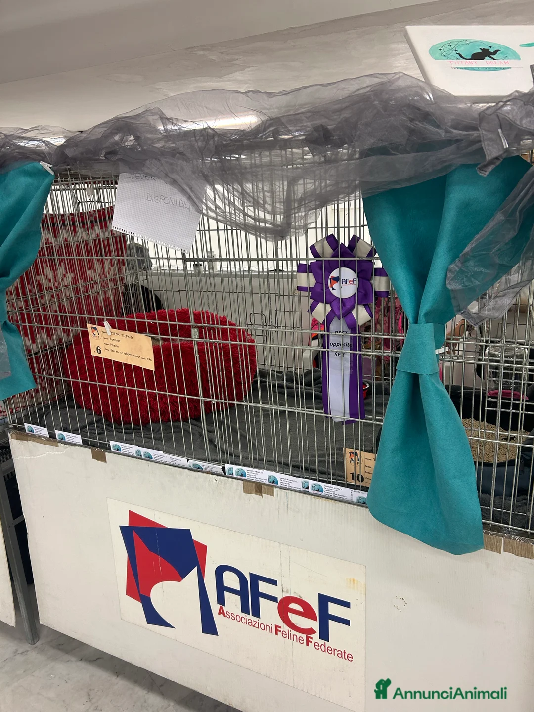 Immagine della galleria {{count}}