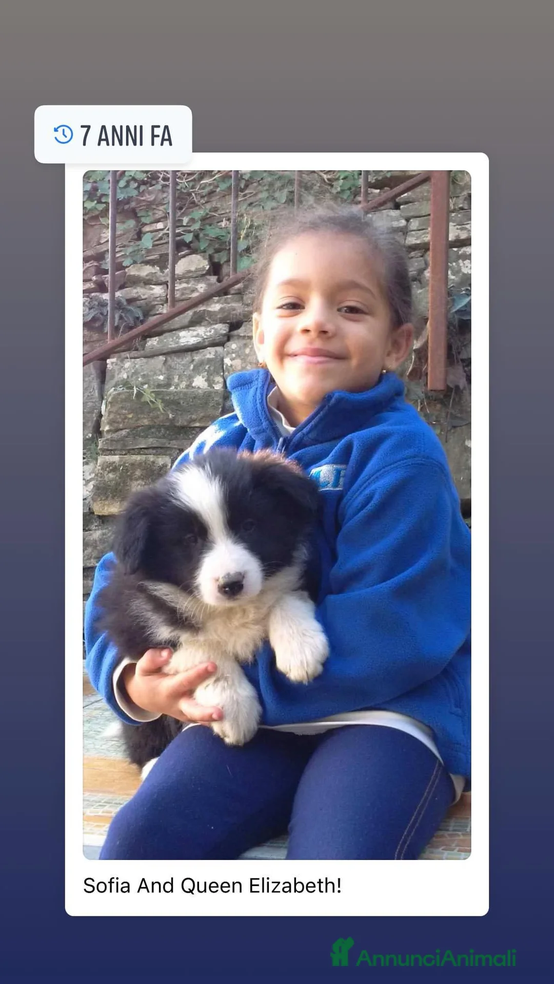 Immagine della galleria {{count}}