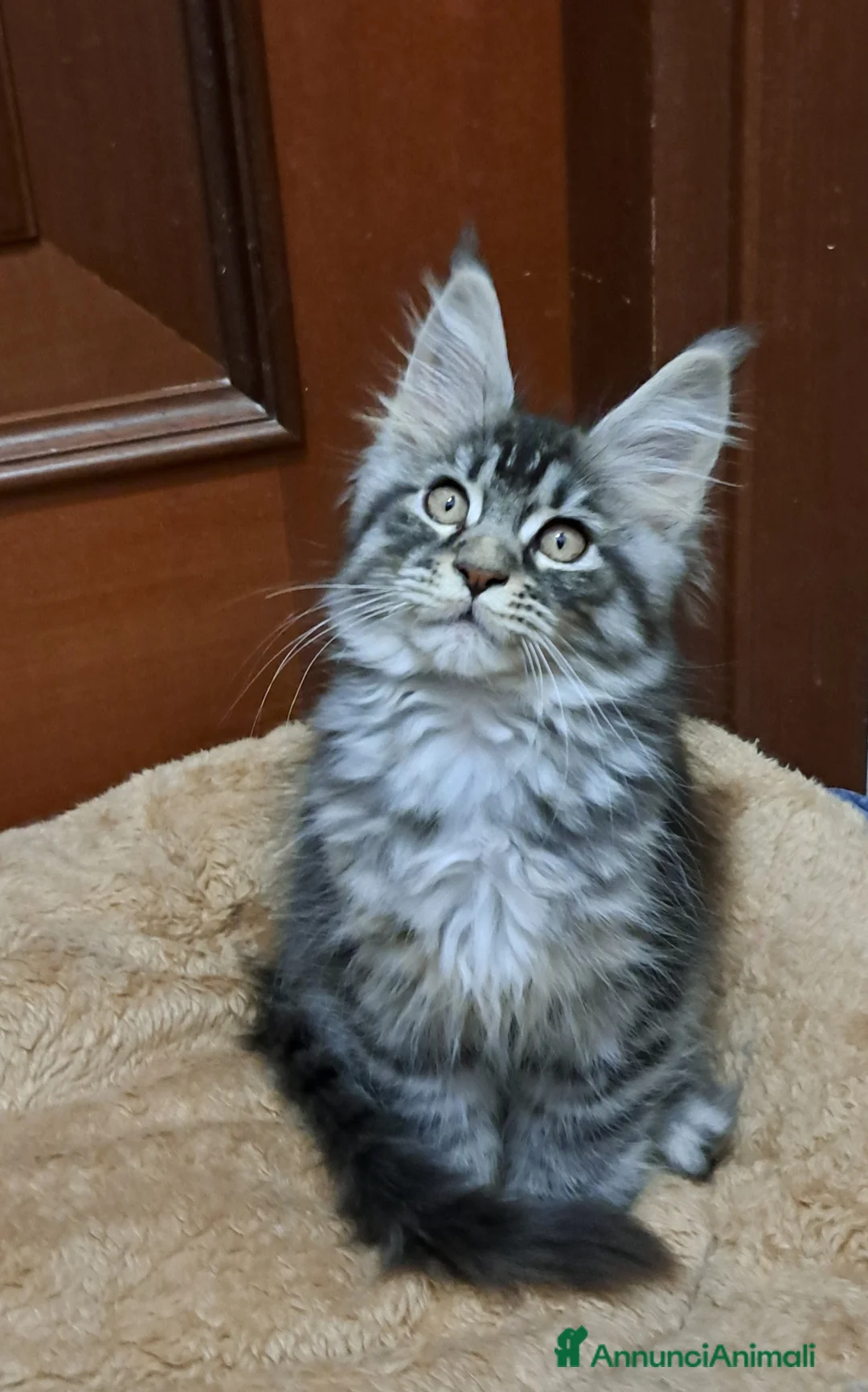 Immagine della galleria {{count}}