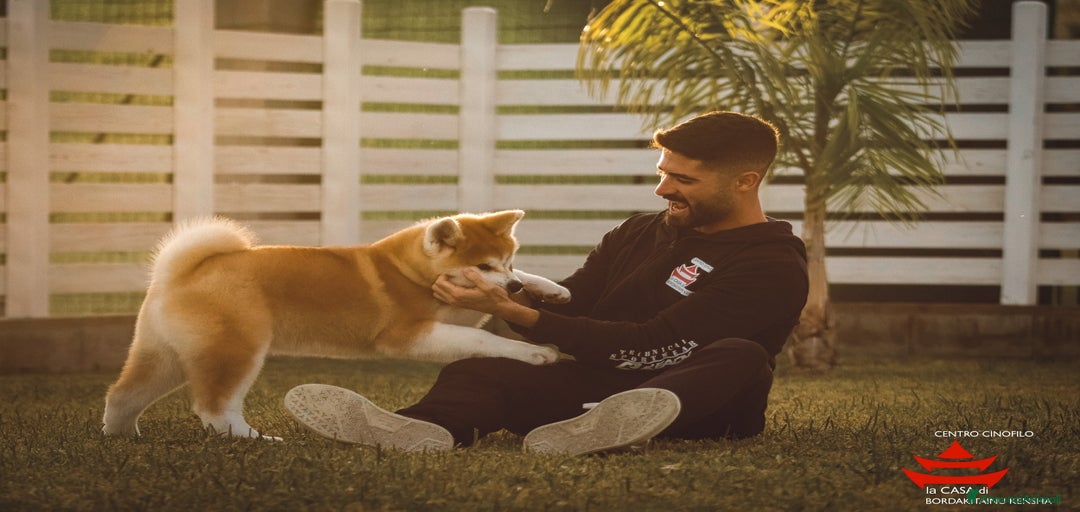 Immagine della galleria {{count}}