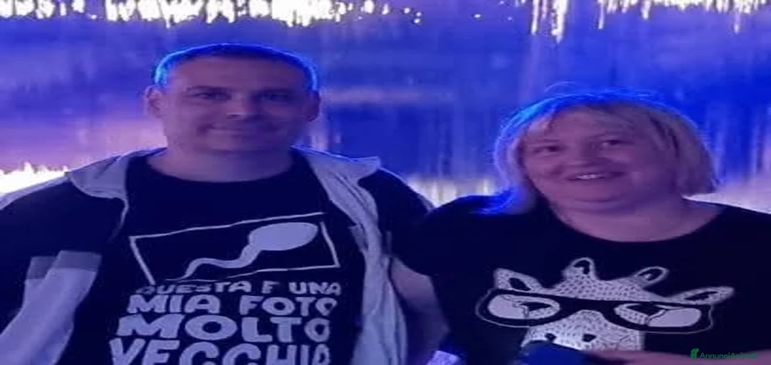 Immagine della galleria {{count}}