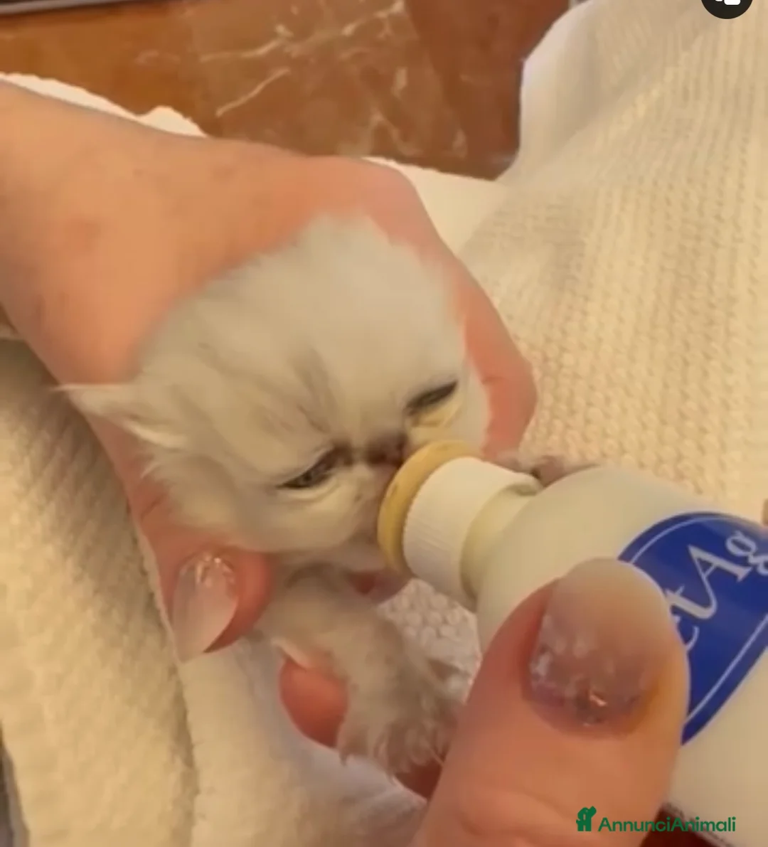 Immagine della galleria {{count}}