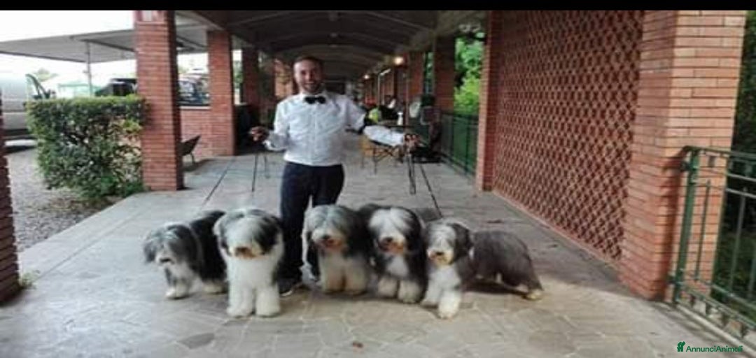 Immagine della galleria {{count}}