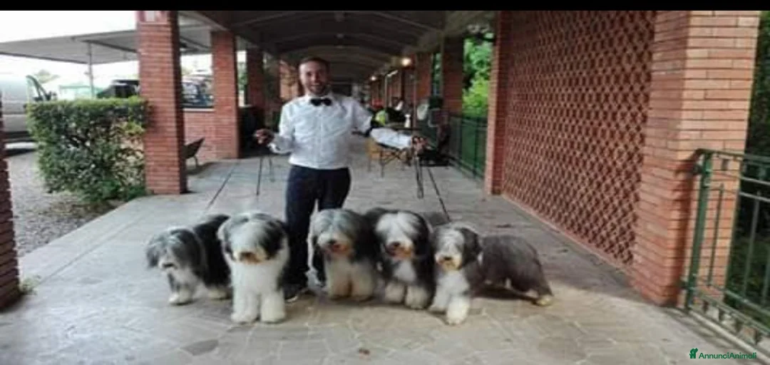 Immagine della galleria {{count}}