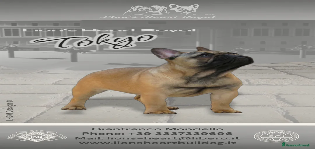 Immagine della galleria {{count}}