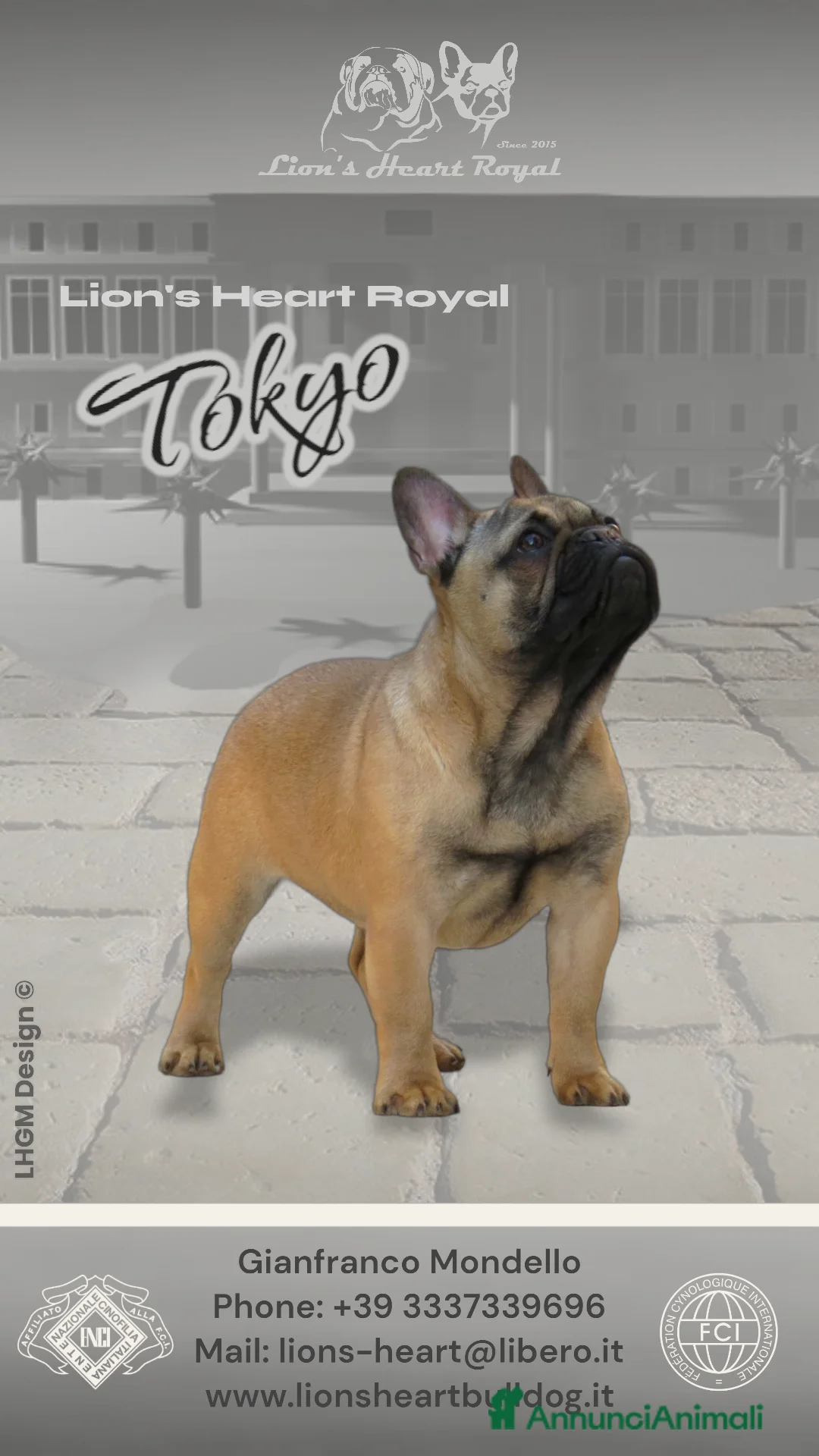 Immagine della galleria {{count}}